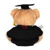 Graduation bear Thumbnail