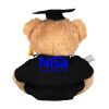 Graduation bear Thumbnail