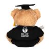 Graduation bear Thumbnail