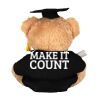 Graduation bear Thumbnail