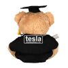 Graduation bear Thumbnail